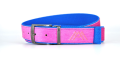 Skinalp pasek pink&amp;electric blue 1 skialpinizm.png